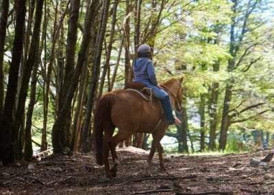 Cabalgando entre árboles
