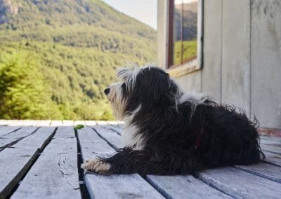 Mirando el horizonte