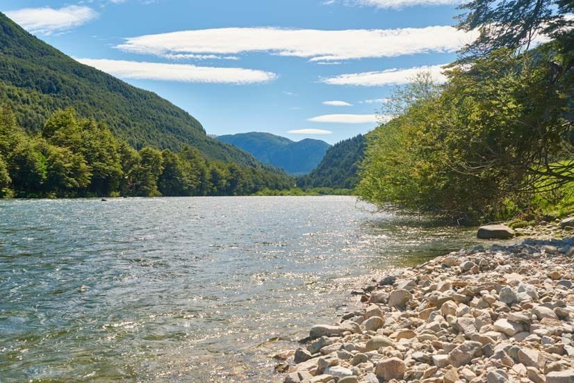 Rio Cisnes y su entorno Sonidos del río y aves del sector