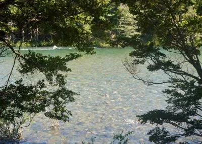 Río Cisnes
