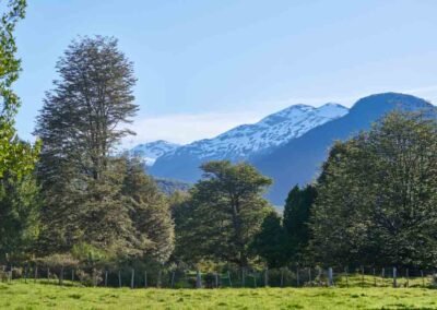 Árboles en Refugio del Alba
