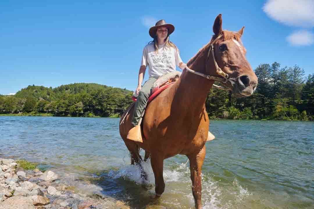 caballo_refugio_del_alba2 Caballo en Refugio del Alba