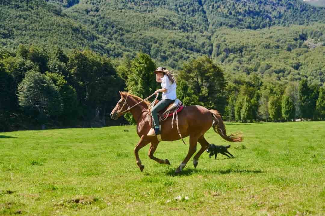 Caballos en Refugio el Alba