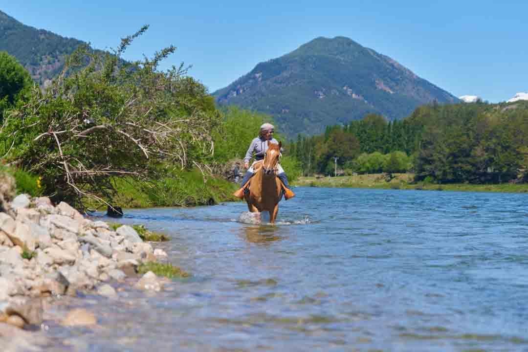 caballo_rio_cisnes_refugio1 Caballo en Río Cisnes Refugio del Alba