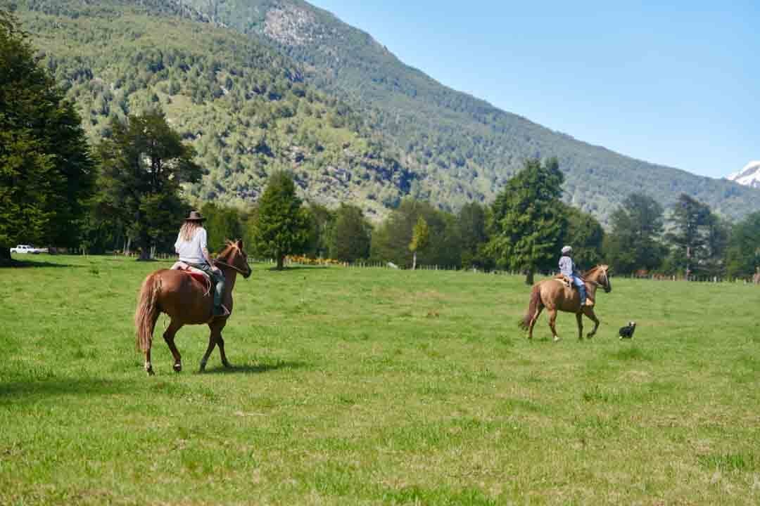 caballos_en_refugio_del_alba2 Caballos en Refugio del Alba